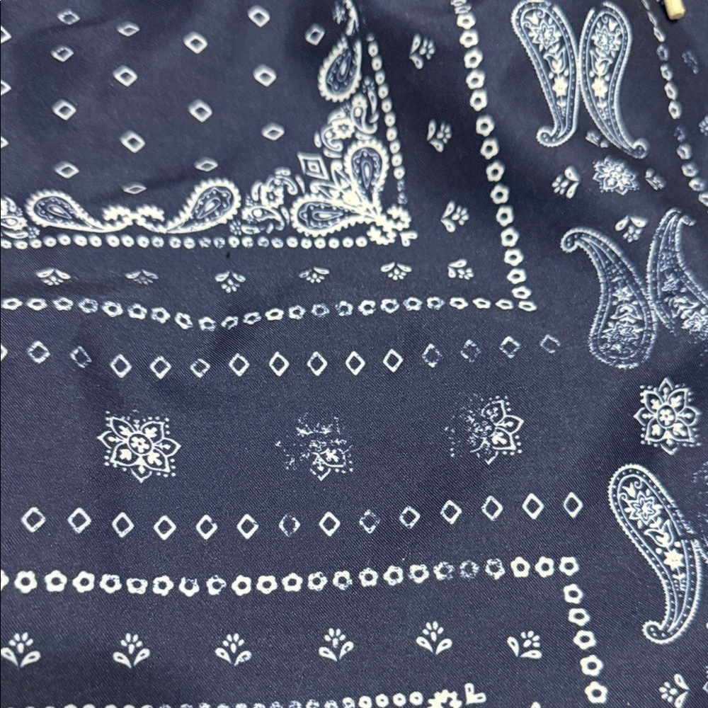 PacSun Men’s Navy Bandana Paisley Print Swim Trunks, Size Small. - Picture 4 of 12